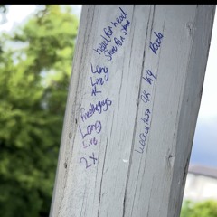 Fuck Over Everybody Ft Crazy K9 & FOE Senski