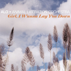 Girl, I Wanna Lay You Down (feat. Jack Johnson)