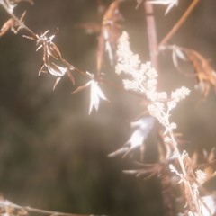 MIXTAPE - 003 - MMXXIV -  EQUINOX & AMBIENT