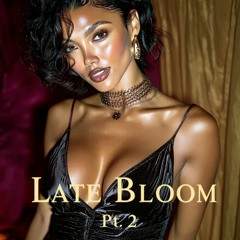 Late Bloom (Still That Girl)