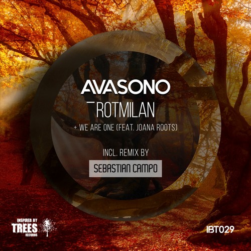 Avasono - Rotmilan (Sebastian Campo Remix)