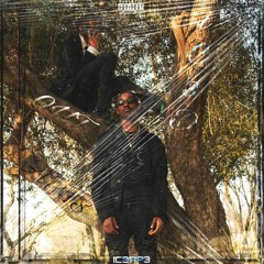 iC3D OUT APES (p. soufsid3.jit)
