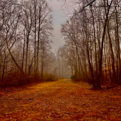 Mandolin Road - Christian McIntosh