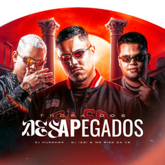 TROPA DOS DESAPEGADOS