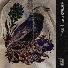 Aves Volare & TØMII - Birds (Original Mix)