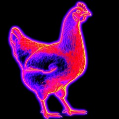 Daily freestyle practice session - tech house 11/1/25