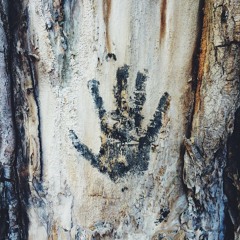 ATTENTION! by Andrew Misho, Gry & Carlos Diablos