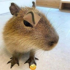 😋