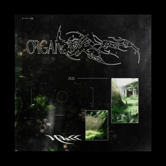 ORGANIC (EP FULL STREAM +bonus track & drumkit)