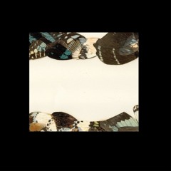 Butterfly Girl (Sten Version)