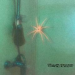 Leah - Screech (Craquages Collectifs)