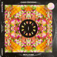 Real Funk (Radio Edit)