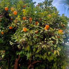 One Day In October...at 116 BPM