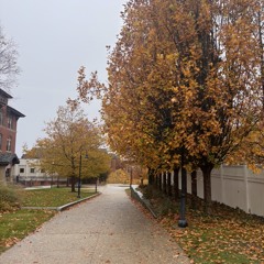 yannotruth - emmet till (sama)