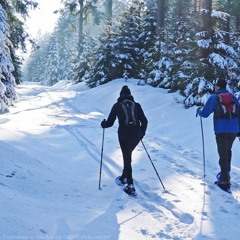 Winterwandertage 2021 am Ochsenkopf