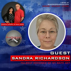 GunFreedomRadio EP432 Politics, Mental Health and Guns with Sandra Richardson
