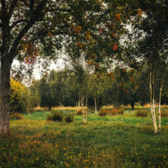 The Sundays - You’re Not The Only One I Know [Slowed 0.9x]