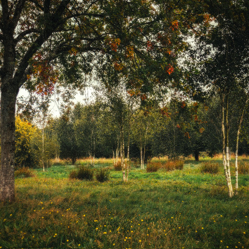 The Sundays - You’re Not The Only One I Know [Slowed 0.9x]