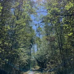 barelybeendreaminglately (prod. fony wallace & killjames)