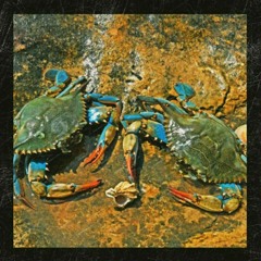 Mumbles - Crabbin