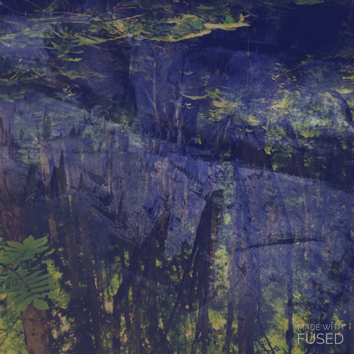 I get down on the abyss(深淵におりる)