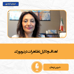 اهداف و دلایل تظاهرات در نیویورک