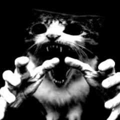 женщина кошка