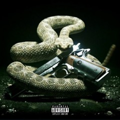 MISTAKES-FMG Shoota Go (feat. DMONEI)