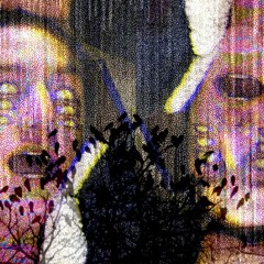 Ты слышишь ворон