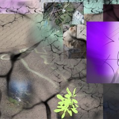 the_smell_of_purple_sun____ ♪～(˵¯̴͒ꇴ¯̴͒˵)╭ ～*✲ﾟ*｡⋆♡ོ