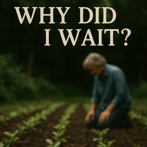 Why Did I Wait - New Ending!