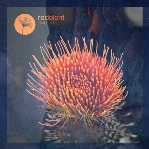 Sabo & Chus - Afro Chooz x Again (Rameen Edit)