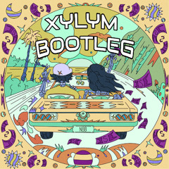 Disco Lines & Tinashe - No Broke Boys (Xylym Bootleg) [Free Download]