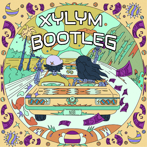 Disco Lines & Tinashe - No Broke Boys (Xylym Bootleg) [Free Download]