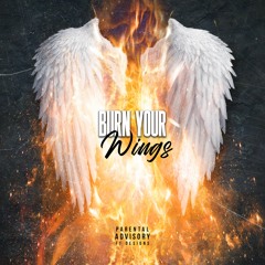 OfficialHardBodyMusic - Burn Your Wings
