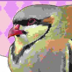 ʅσʋҽʂρҽʅʅ #ԋιԃԃҽɳɱαɠҽ