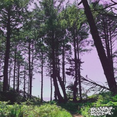 The Mountain By The Sea