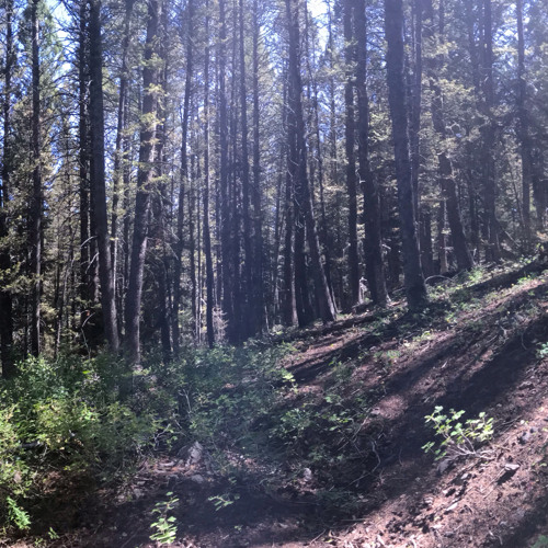 warm ride in the sun