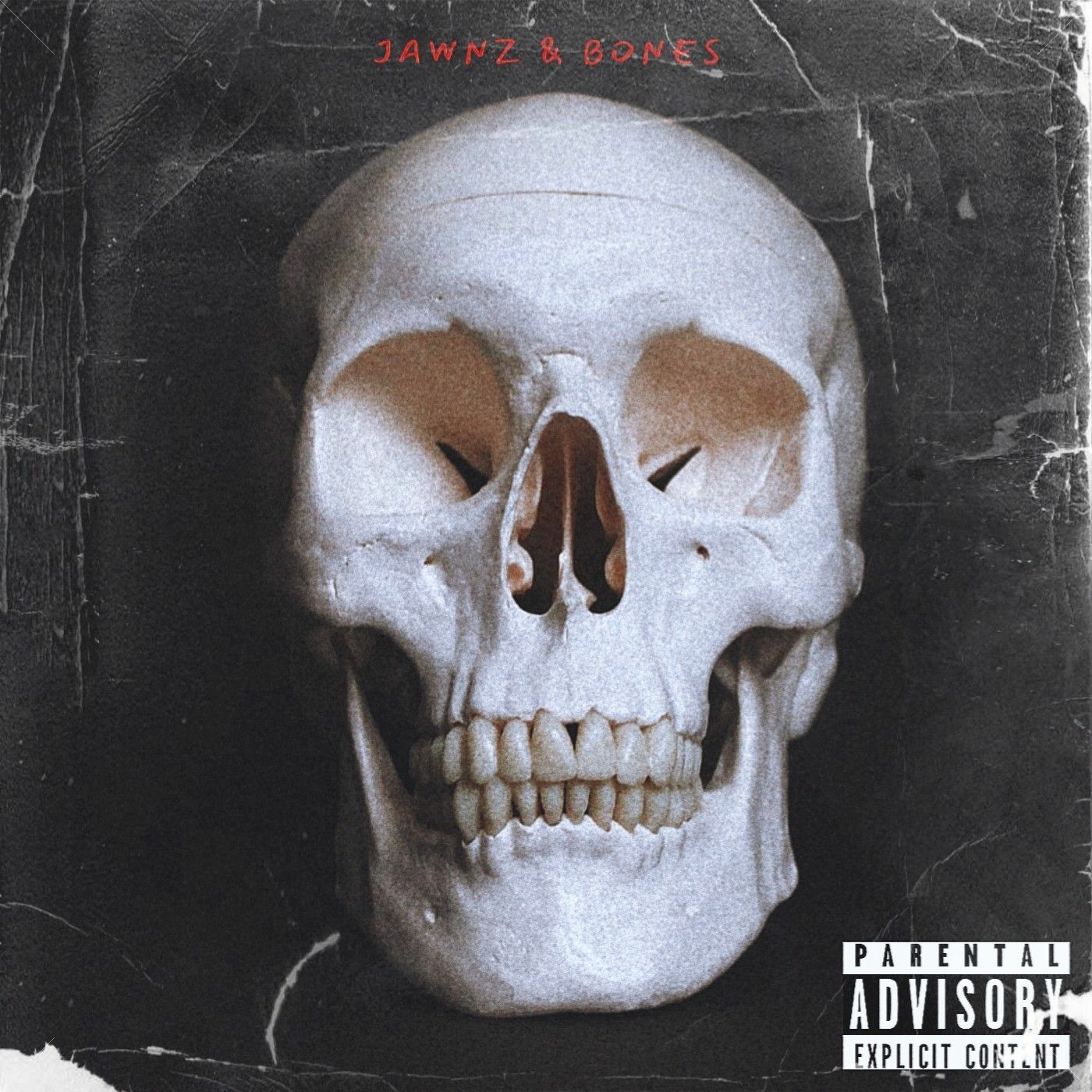 Jawnz N Bones episode artwork
