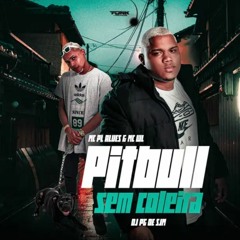 MC PL ALVES & MC WL - PITBULL SEM COLEIRA (( DJ PG DE SJM )) IGREJINHA