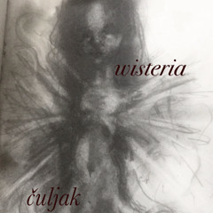 wisteria & čuljak - clingfilmsin (prod. čuljak)