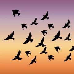 Flock (v3.3)
