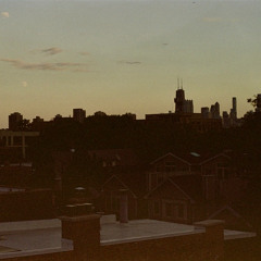 particulate