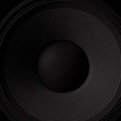LET THE MUSIC SPEAK