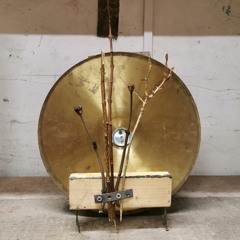 twig thoughts (disquiet0624)