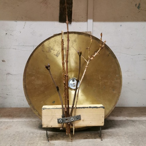 twig thoughts (disquiet0624)