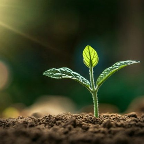 Kislev: The Secret of 3 and Our Miraculous Eternality