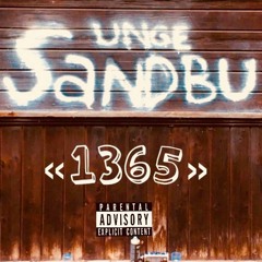 1365 (prod. jakxb)