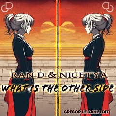 Ran D & Nicetya - What Is The Other Side (Gregor le Dahl Edit)