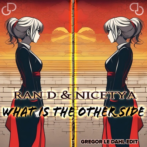Ran D & Nicetya - What Is The Other Side (Gregor le Dahl Edit)